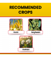 Katyayani Weed Killer Plus (1 litre x 50 Bottles)